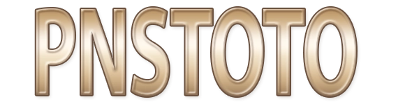 PNSTOTO Logo